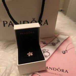 Pandora charm